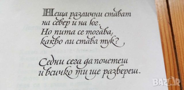 Какво ли става тук? - Асен Босев, снимка 2 - Детски книжки - 46798244