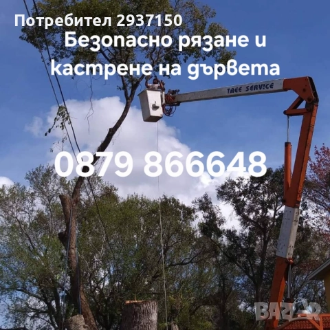 Автовишки под наем / вишки с оператор / рязане и кастрене на дървета, снимка 5 - Други услуги - 51826343