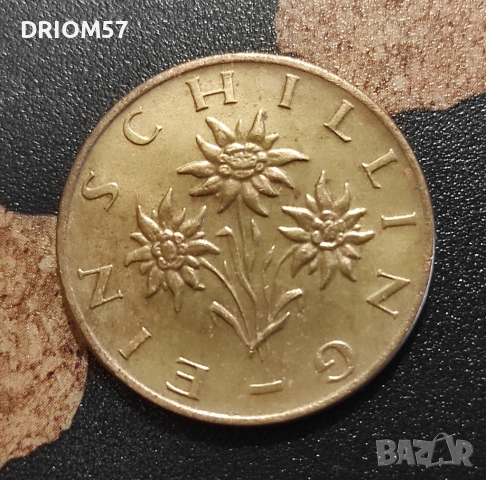 Монети Австрия - 4 бр. [1982-1985], снимка 6 - Нумизматика и бонистика - 53385637