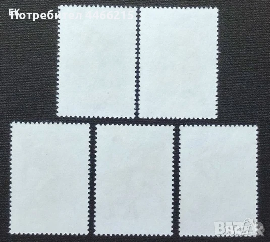 СССР, 1981 г. - пълна серия чисти марки, спорт, 4*6, снимка 2 - Филателия - 50655547