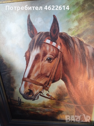 УНИКАЛНА КАРТИНА МАСЛЕНИ БОИ ВЪРХУ ПЛАТНО АВТОРСКА , снимка 3 - Картини - 52651495