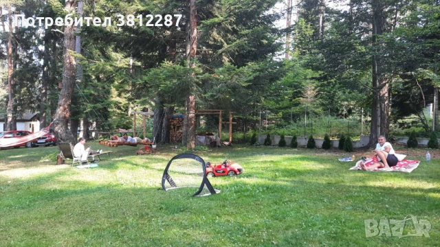 Рязане на асми, лозе и косене на трева за 1 Декър 70 евро . , снимка 3 - Други почистващи услуги - 53704400