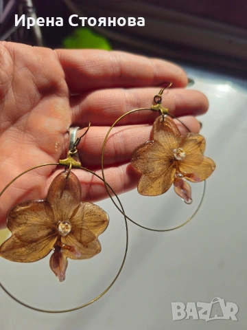 Обеци с естествен цвят на орхидея в кафяви нюанси., снимка 2 - Обеци - 53738154