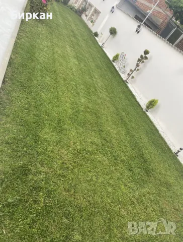 Косене и Поддръжка на дворове, снимка 6 - Други - 49991759