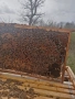 пчелни отводки , снимка 3