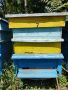 Пчеларски инвентар , снимка 1 - Други инструменти - 45911894