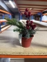 Изкуствена коледна декорация в саксия, 1 бр Classic Flora., снимка 2