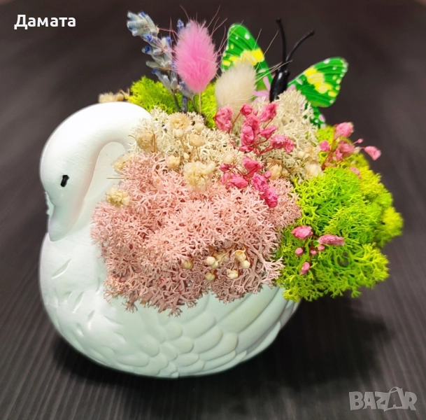 Малки бурканчета и кашпички с естествен скандинавски мъх, снимка 1