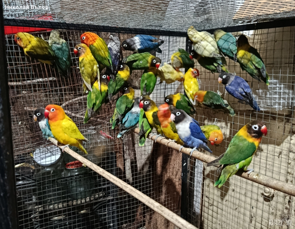 Неразделки , снимка 1