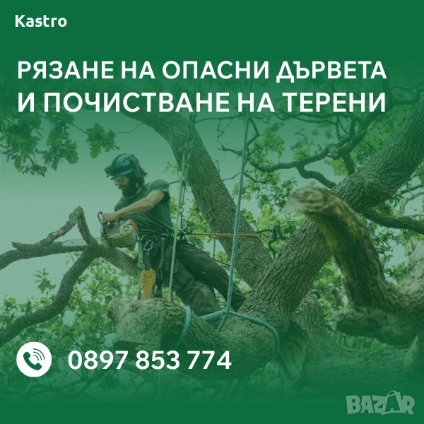 Рязане на опасни дървета и почистване на терени - Безплатен оглед, снимка 1