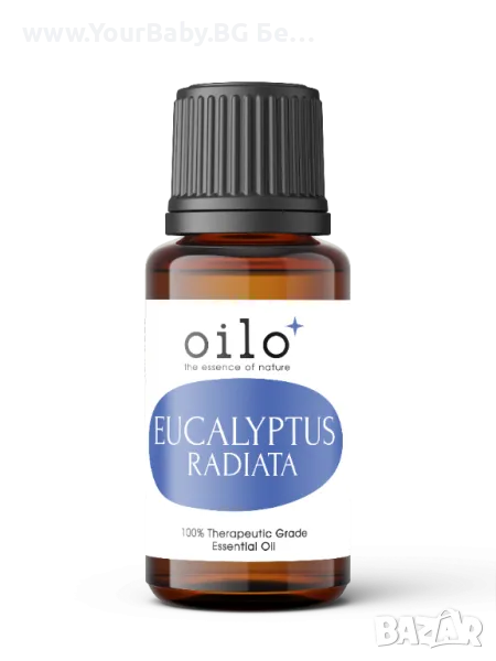 Oilo БИО Етерично Масло от Евкалипт радиата - Eucalyptus Radiata Oilo 5 мл., снимка 1