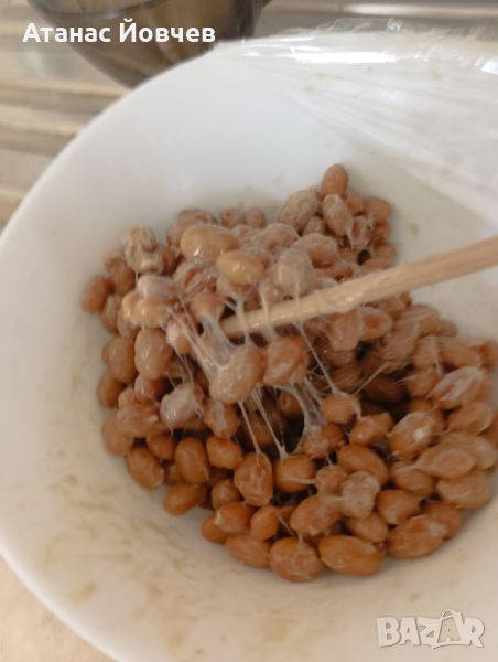 Natto (Natokinase) Ферментирала соя, снимка 1