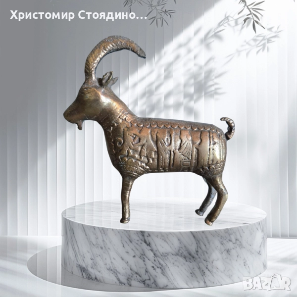 Персииски козирог, снимка 1