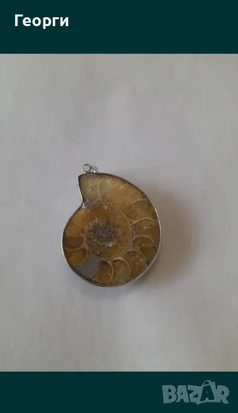 Натурален амунит в обков, снимка 1