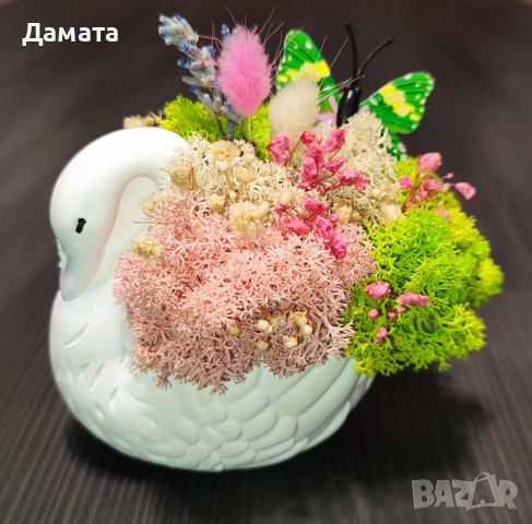 Малки бурканчета и кашпички с естествен скандинавски мъх