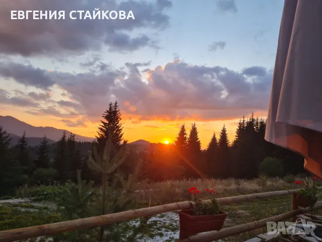 Студио"PANORAMA MOUNTAIN", до ски писта Пампорово - Стойките, снимка 13 - Стаи под наем - 48426022