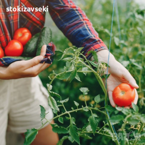 Армирано фолио за оранжерия - висока издръжливост с UV4 филтър, снимка 7 - Оранжерии - 54083200