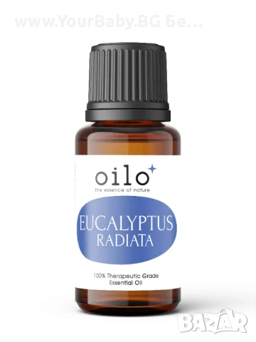 Oilo БИО Етерично Масло от Евкалипт радиата - Eucalyptus Radiata Oilo 5 мл.