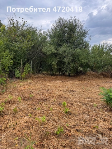 Ъглов Парцел 900кв/м, снимка 4 - Парцели - 53248993