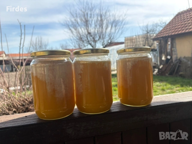 🍯 Продавам домашен пчелен мед – директно от производител! 🍯, снимка 2 - Пчелни продукти - 53678890