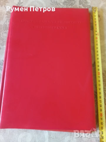 Поздравителен адрес, Интерпрограма.