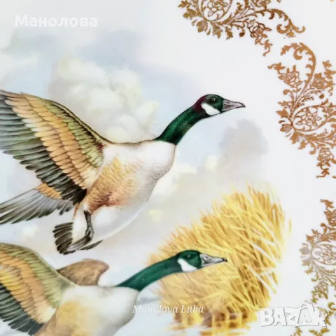 Елегантна декоративна чиния от Gainsborough Bone China, Англия. , снимка 2 - Колекции - 50090203