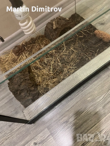 Терариум, оборудван, снимка 2 - Терариуми и оборудване - 52787338