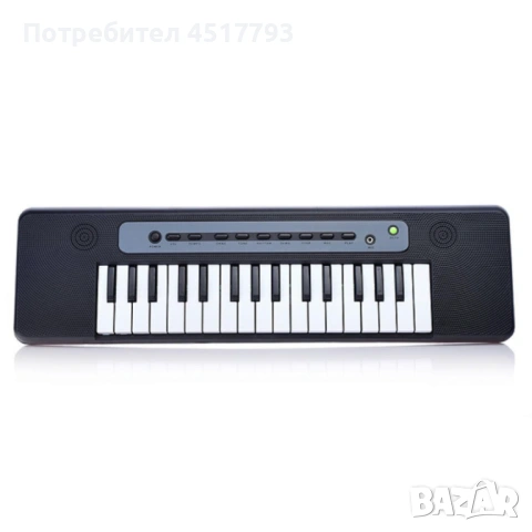 Детска йоника с микрофон, снимка 3 - Музикални играчки - 54242676