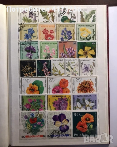 Класьор с марки на тема "Цветя", снимка 12 - Филателия - 53611717