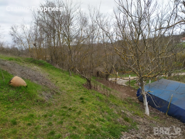 Продава къща с голям двор в село Зорница(Бургаска обл.), снимка 17 - Къщи - 54017074