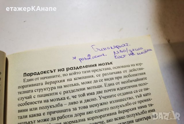 Бъдещето на ума  *	Автор: Мичио Каку, снимка 10 - Специализирана литература - 46106311