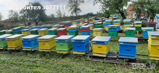 Пчелни кошери