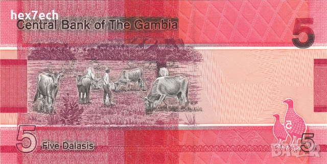 ❤️ ⭐ Гамбия 2019 5 даласи UNC нова ⭐ ❤️, снимка 3 - Нумизматика и бонистика - 52886875