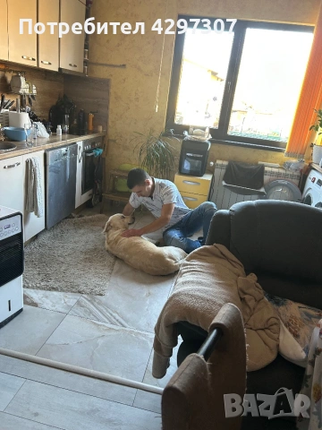 Разходки на кучета и посещения по домовете в София и близките области, снимка 2 - Други услуги - 53562736