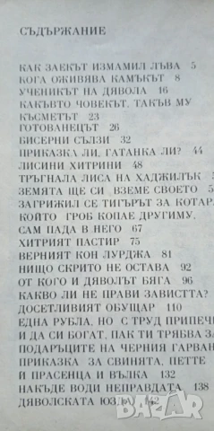 Чудна земя - грузински народни приказки, снимка 5 - Детски книжки - 51184699