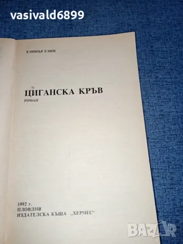 Елинър Глин - Циганска кръв , снимка 4 - Художествена литература - 47401735