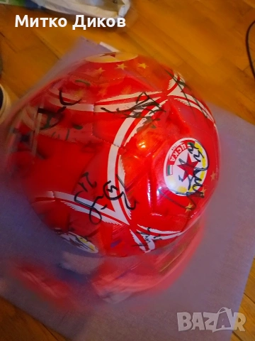 ЦСКА София 2014 г. колекционерска топка с автографи, снимка 8 - Футбол - 53902317