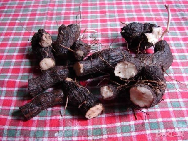 Корени Брей Tamus communis, снимка 2 - Други - 53500991