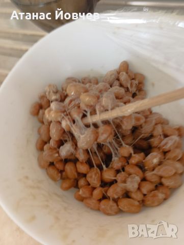 Natto (Natokinase) Ферментирала соя, снимка 1 - Домашни продукти - 46039055