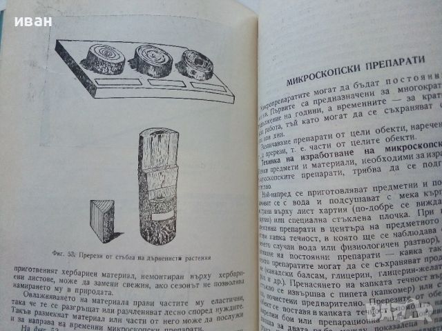 Изработване на саморъчни пособия по биология - Т.Митева - 1967г., снимка 6 - Специализирана литература - 46263937