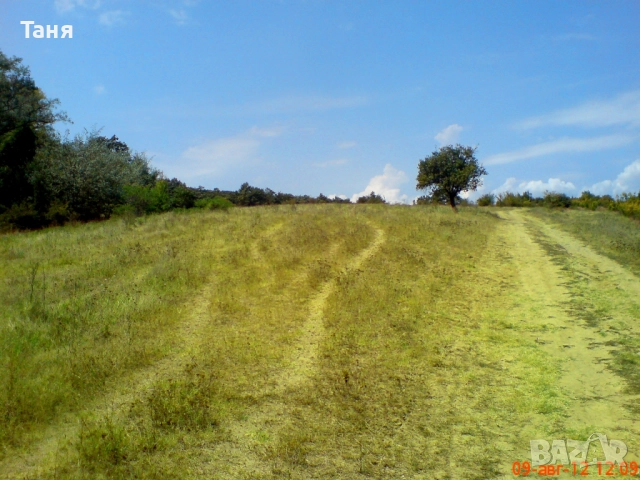 Морски парцел УПИ с ПРЗ, 9 842 кв. м - Без Комисионна!!!, снимка 3 - Парцели - 44410524