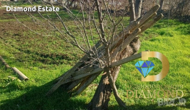 Вила с дворно място във вилна зона Габера, гр. Димитровград, снимка 3 - Вили - 53338239