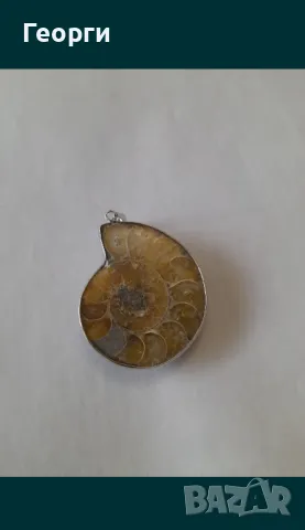 Натурален амунит в обков