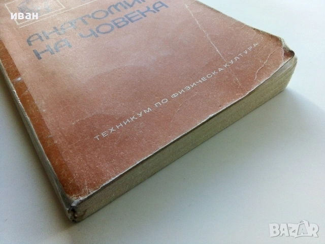 Анатомия на Човека-учебник записки - Т.Тодоров,И.Стоянов - 1979г., снимка 9 - Учебници, учебни тетрадки - 53834269