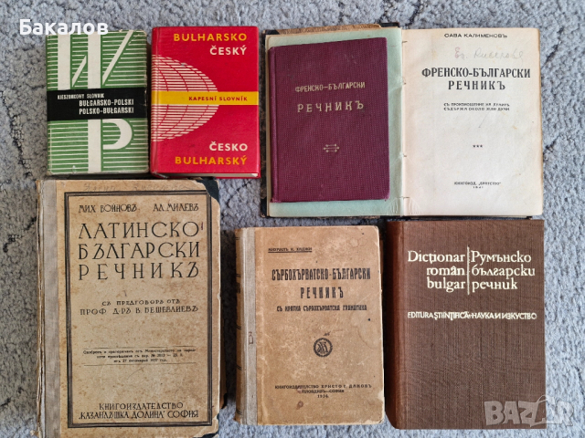 Речници и разговорници, снимка 3 - Специализирана литература - 35140592