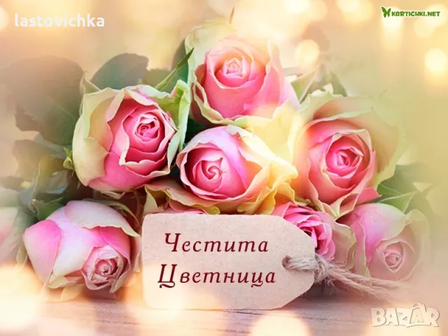 Параван, снимка 2 - Паравани - 49915445