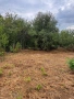 Ъглов Парцел 900кв/м, снимка 4