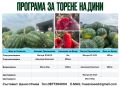 Торене на краставици,домати,тиквички,картофи,дини,пипер, снимка 2