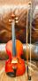Цигулка REGHIN 56 см, снимка 4