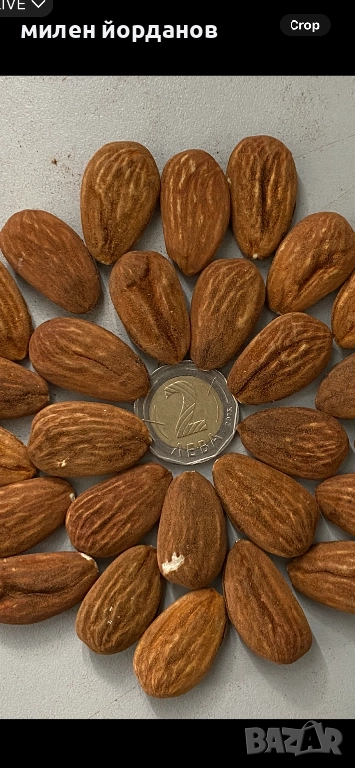 Продавам бадеми, снимка 1